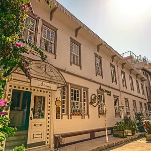 Avicenna Sultanahmet Stambuł